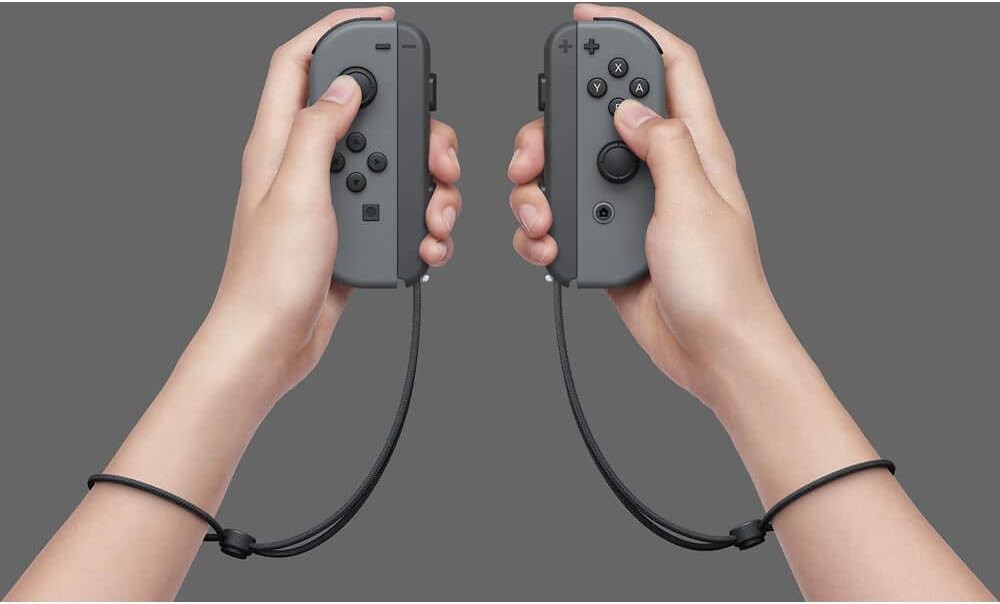 Nintendo Switch Console (Nintendo Switch) Joy-Con (L)/(R) Gray New