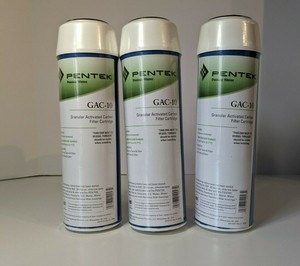 Pentair pentek gac 10