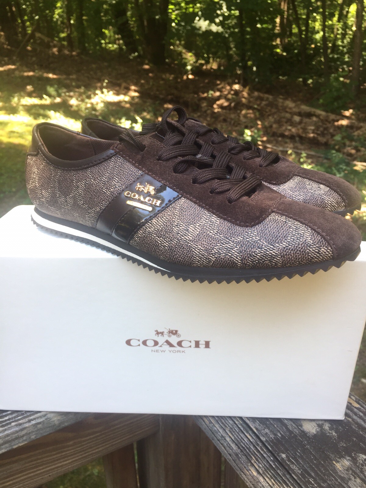 coach ivy sneakers