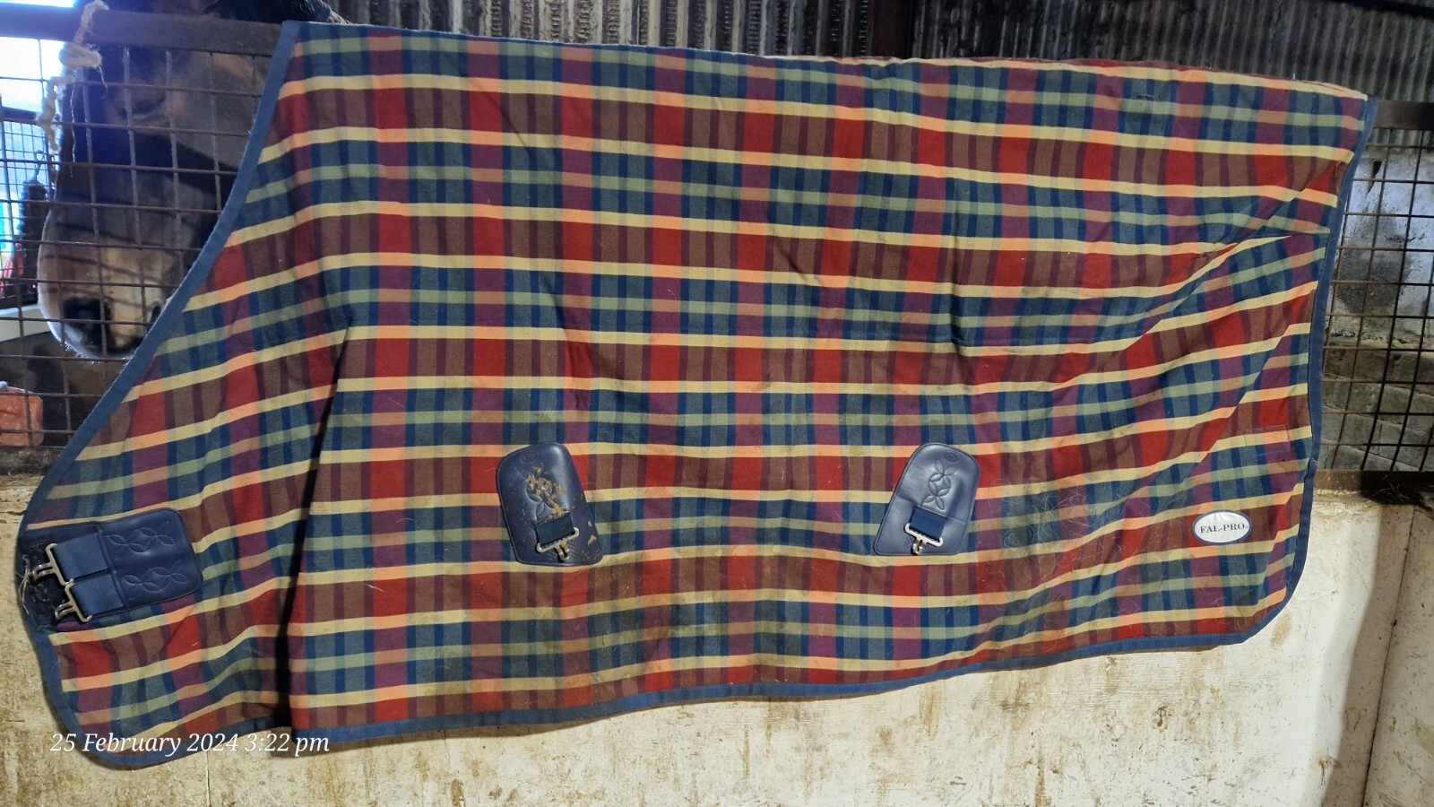 Job Lot Horse Rugs at Amelia Rodrigues blog