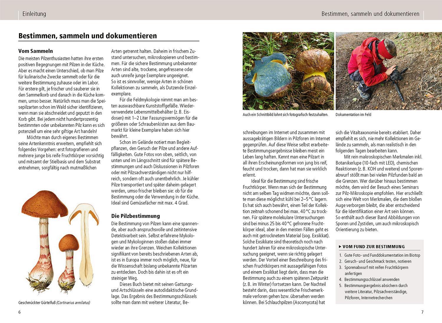 Thumbnail - Das Kosmos-handbuch Pilze | Gminder, Andreas | Karasch, Peter