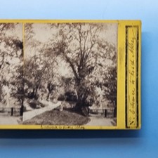 Rotherham Stereoview C1870 Real Photo Sheffield Roche Abbey Gates By Thomas
