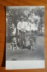 2 hunting dogs and man with rifle real photo postcard — photo 1