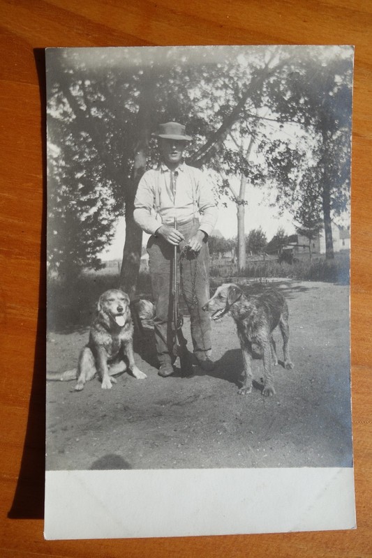 2 hunting dogs and man with rifle real photo postcard