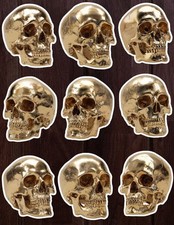 Golden Skull Die Cut Vinyl Stickers Set Scrapbooking Laptop Waterbottle