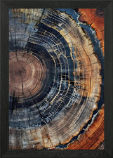Tree Trunk Ring Rustic wood Farmhou Framed Wall Art Poster Canvas Print Picture