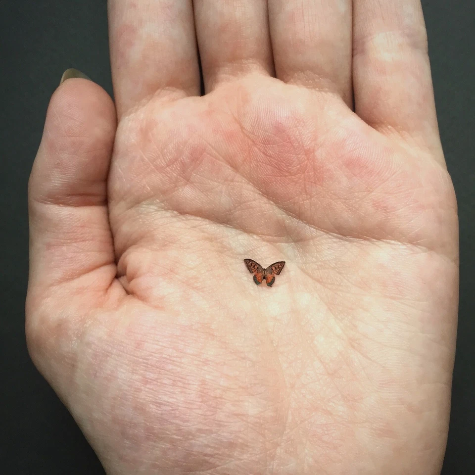 Dolls House Woodland Garden Tiny Butterflies Miniature 1/12th scale - Image 2 of 4