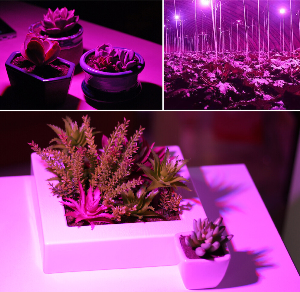 E27 18/30/50/80W Led Grow Light Full Spectrum Lamp Bulb Plant Hydroponics Bloom