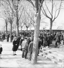 BAYONNE c. 1938 - La Foire aux Hambons negative 6 x 6 - NAQ 186