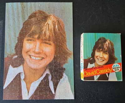 Vintage Whitman Jigsaw Puzzle 1973 - David Cassidy - 224 Large Pieces Complete