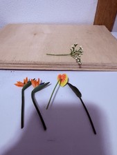 miniverse make it mini food extras lot Plants