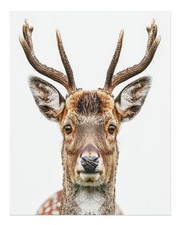 Majestic Deer Wall Art Poster - Nature-Inspired Home Decor Modern Art