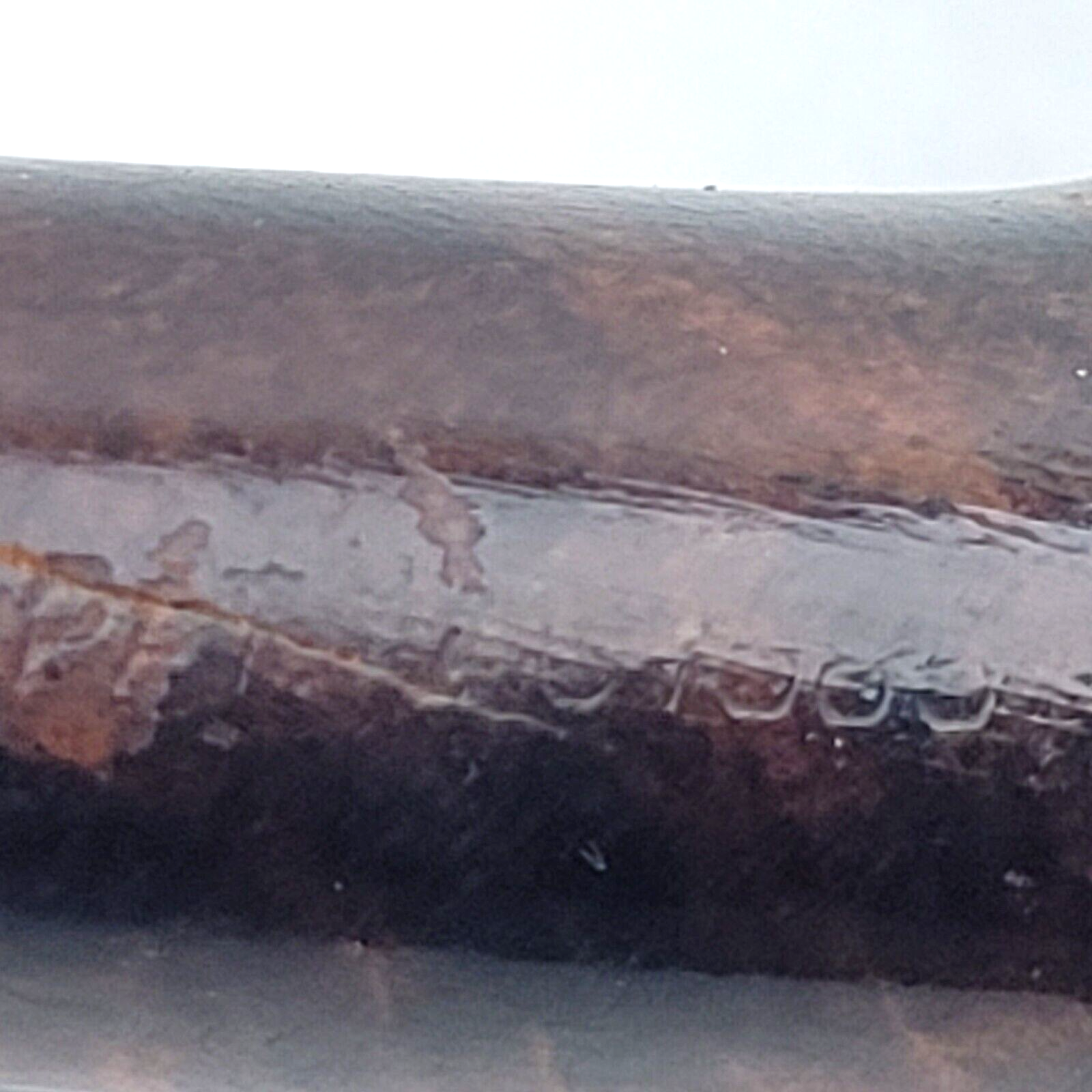 Picture 10 of 14