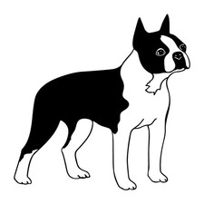 Boston Terrier Dog Det Decal Sticker Black Die Cut Vinyl