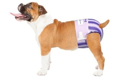 Petrichor Female Dog Diaper, Camellia Fragrance, Emits Freshcent While S 80