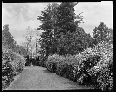 Oatlands,estates,gardens,hedges,Leesburg,VA,Virginia,Architecture,South,c1930 3