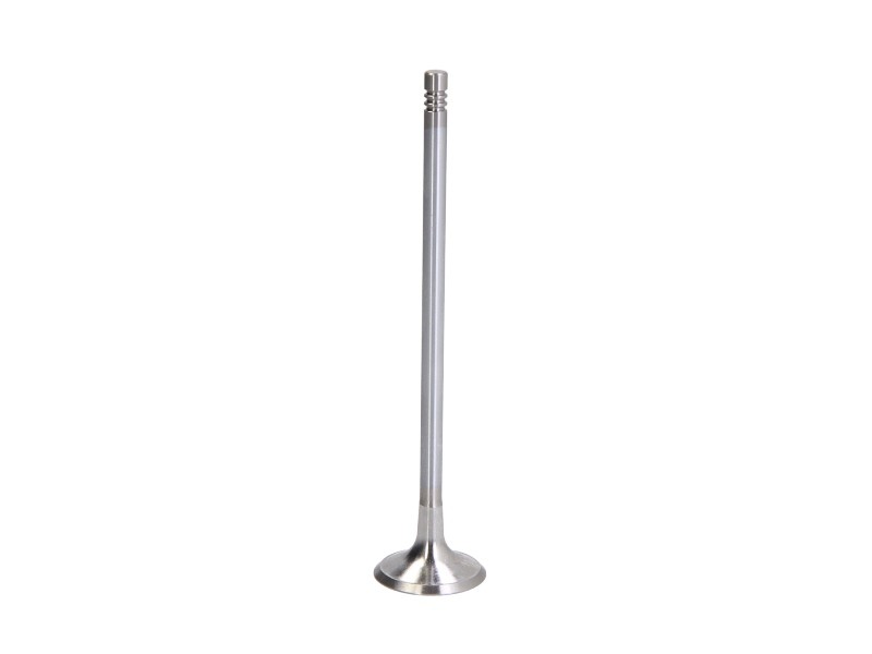 Fits FRECCIA 6704/BMARCR Exhaust valve 6704/BMARCR Exhaust valve (30,2x6x136,1)