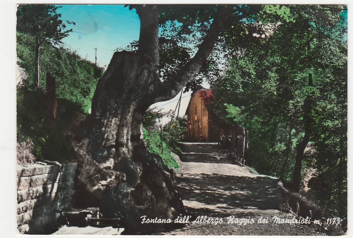 BAGNO DI ROMAGNA - FORLI' - FONTANA DELL'ALBERGO RAGGIO DEI MANDRIOLI -29624-