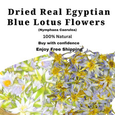 Natural Egyptian Blue Lotus Flowers  Nymphaea Caerulea 1 oz Ships from Ceylon