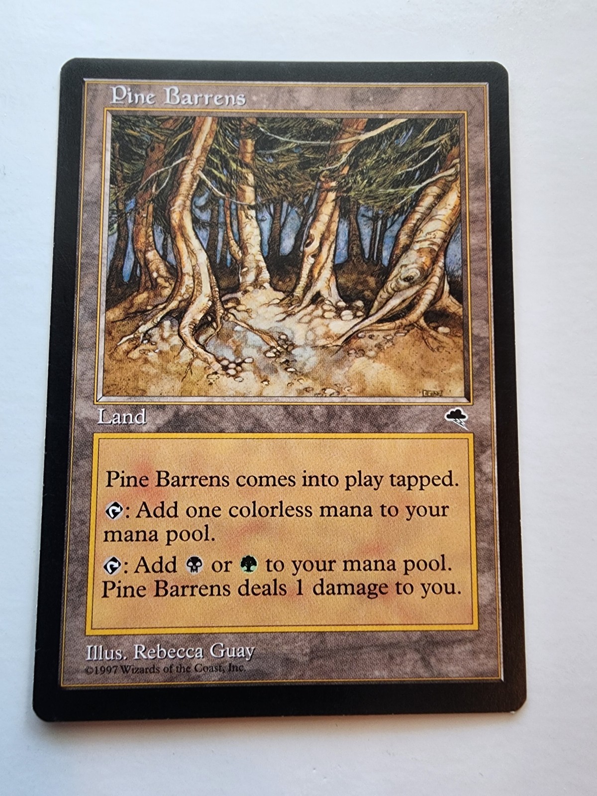 Magic the Gathering - Tempest Pine Barrens 321 Rare 1997