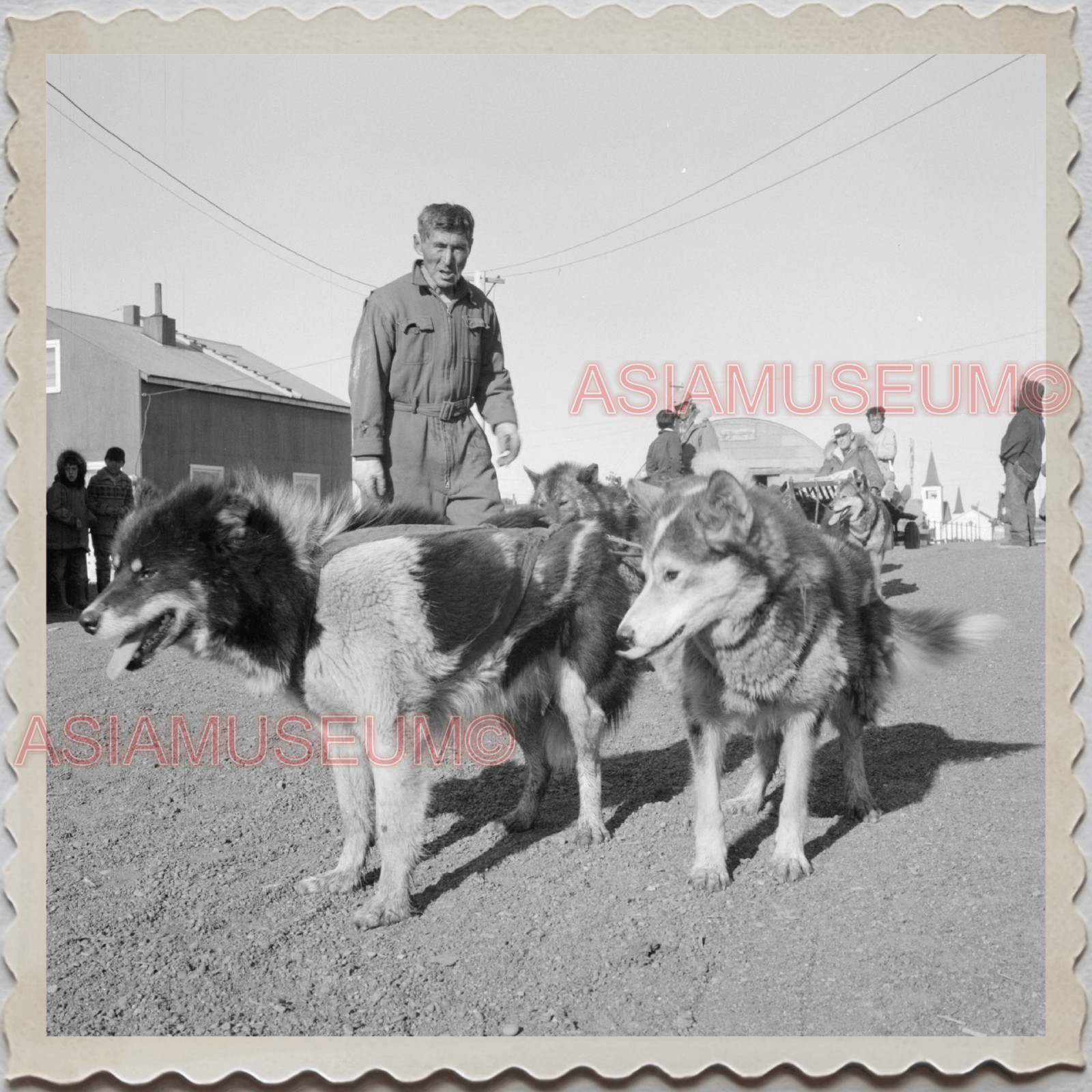 50s UTQIAGVIK NORTH SLOPE BARROW ALASKA ARCTIC SLED DOG VINT