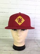 Harry Potter Gryffindor Crest Patch Logo Strapback Hat Cap Adult Adjustable Red
