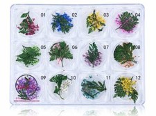 12 Colors Real Dried Flowers 3D Nail Art Decors Design DIY Set