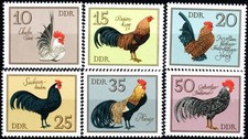 BIRDS POULTRY MNH 1979 RDA RDA Alemania juego completo, AVES, gallos gallinas, ¡¡¡MIRA!!!!