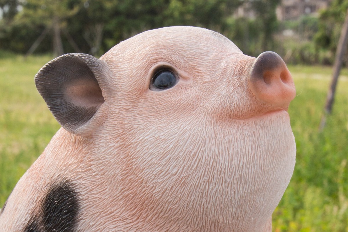 Chubby Sitting Pig Pink/W BlackSpot Garden Statue Garden Yard