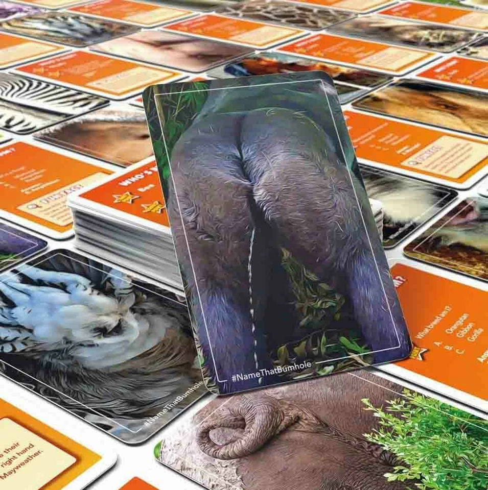 NAME THAT BUM HOLE Card Game Bubblegum Stuff BUMHOLE Educational, Trivia, Facts - Image 3 of 3