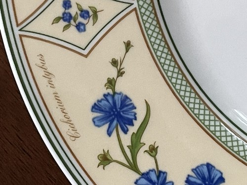 Villeroy & Boch Eden Garden Yellow Green 5-Pc Dinner Place Setting (Mult. Avail) - Picture 9 of 24