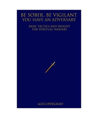 Be Sober Be Vigilant You Have an Adversary: Basic Tactics and Insight for Spirit