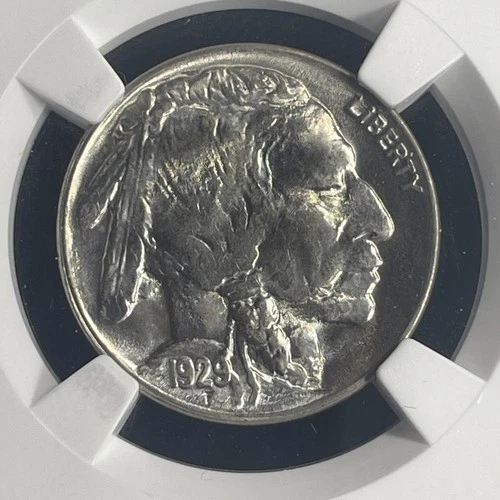 1929 Buffalo Nickel NGC MS65