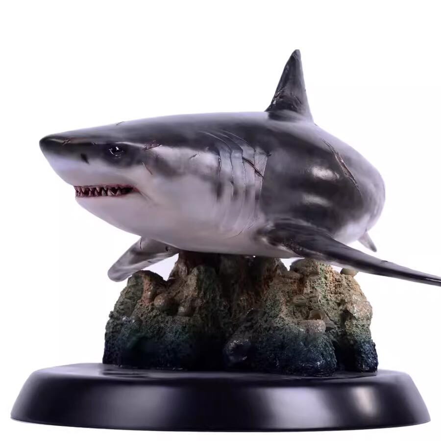 ディスプレイ・モニター本体 Otodus.megalodon ディスプレイ・モニター本体 Otodus.megalodon ディスプレイ・モニター