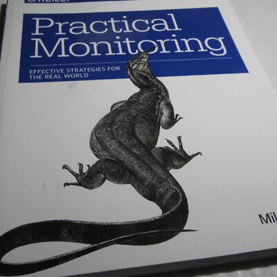 Practical Monitoring: Effective Strategies - Paperback, by Julian Mike - NEW