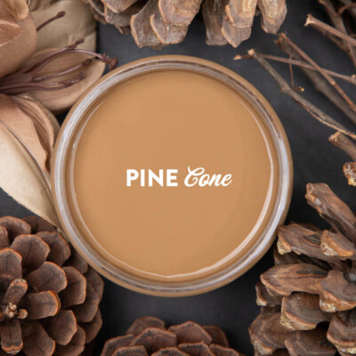 4oz Dixie Belle Chalk Mineral Paint   Color Samples - Same Day Shipping