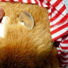 Foto 9 di 11
