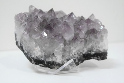 Großer Kristall brasilianischer Amethyst natürlicher Cluster + Ständer 566g Klasse AAA Ref #10