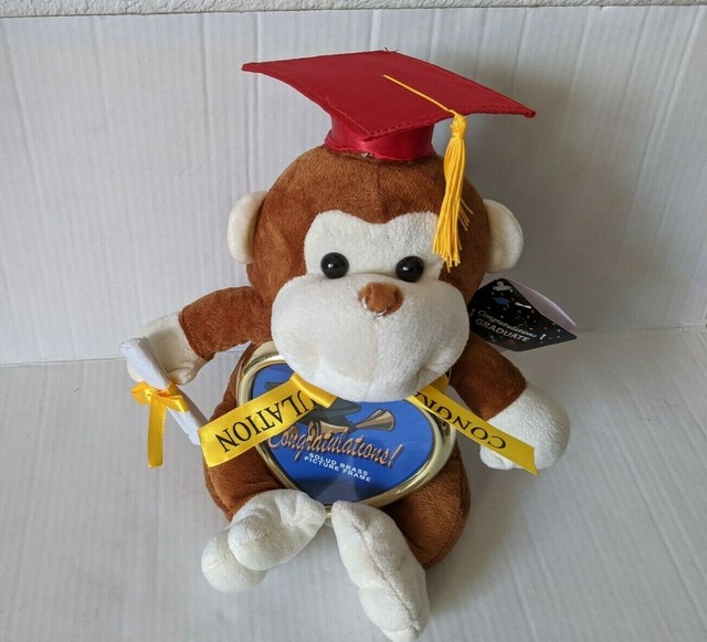 graduation teddy bear target