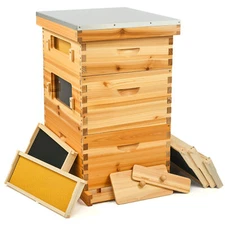 Bee hive Frame BeeHive Kit W/ Beeswax Beekeeping 30 Frames  20 Deep+10 Medium