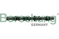 Nockenwelle Borsehung B12431 FüR Vw Golf 6 Variant AJ5 5K1 Caddy 3 2KB 2KJ 2CB 5