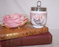 Royal  Worcester Rose Fairy  Egg Coddler Flower Fairies