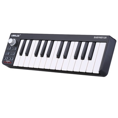 Worlde Easykey.25 Keyboard 25 Tasten--USB-MIDI-Controller Portable Nue A2P4