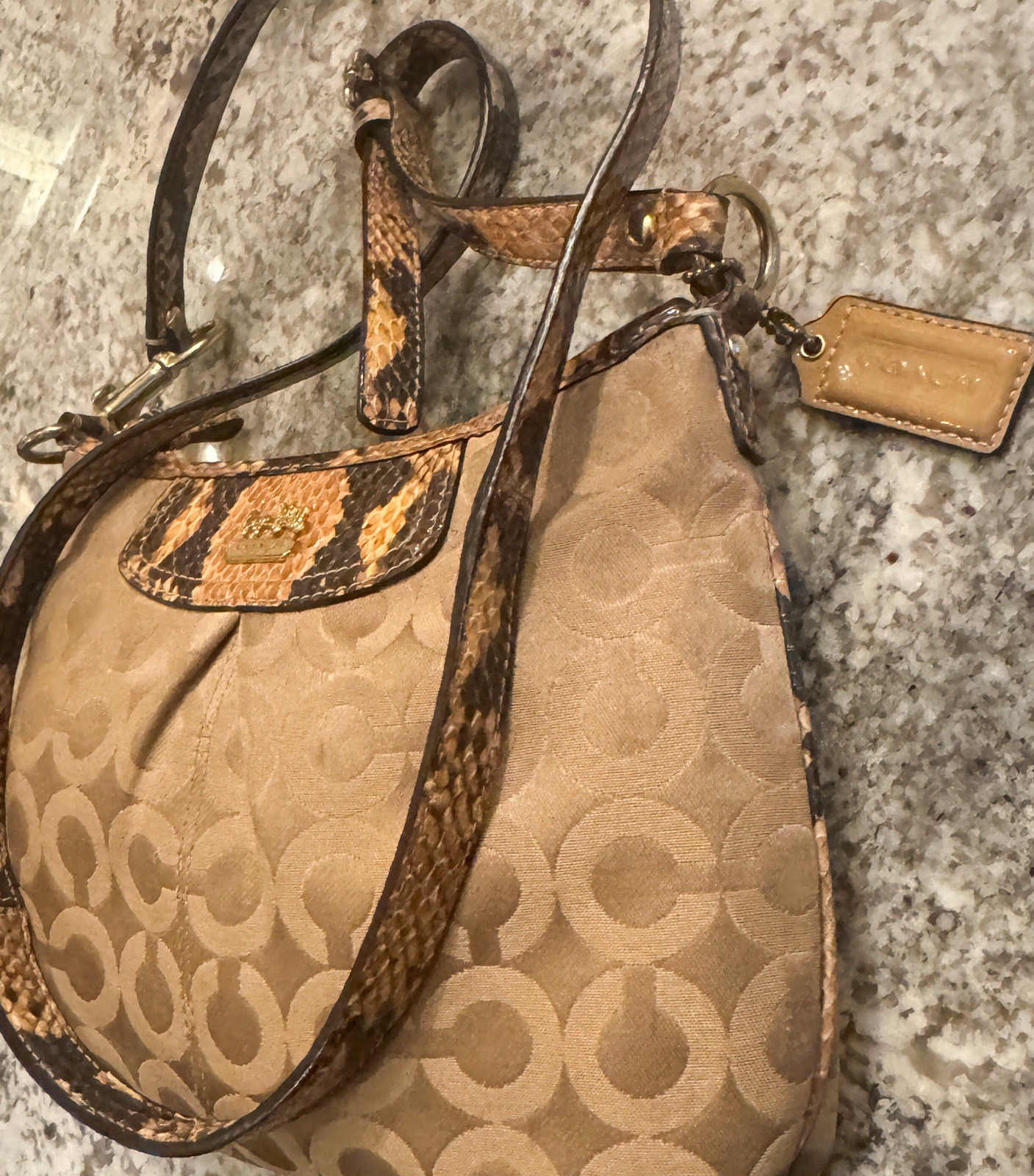 Coach Python Snakeskin Embossed Strap & Lined Mon… - image 3