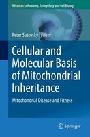Cellular And Molecular Basis Of Mitochondrial Inheritance Peter Sutovsky