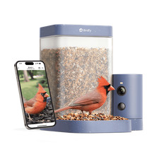 Birdfy Rookie Smart Bird Feeder with Camera