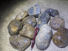 20 Lbs Rough Large Size Montana Agate For Sale