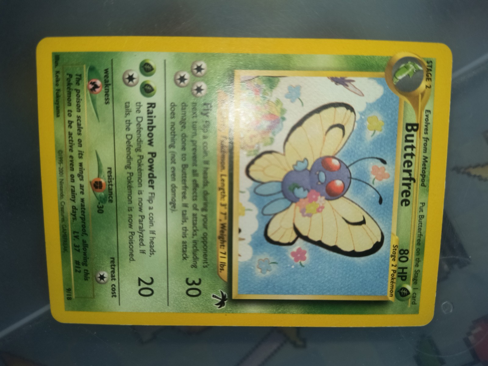Pokemon 2001 Butterfree Card 9/18 Southern Islands Collection