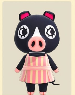 Nora / Agnes #172 für Animal Crossing Amiibo Nfc Karte