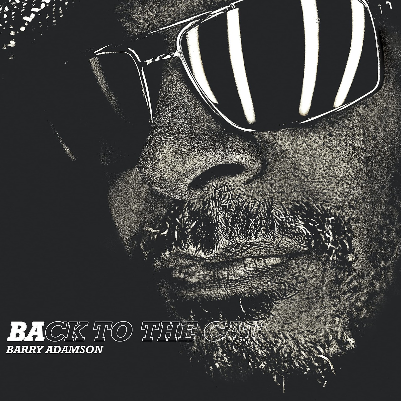 Barry Adamson Back To the Cat LP Vinyl BARRY2 NEW